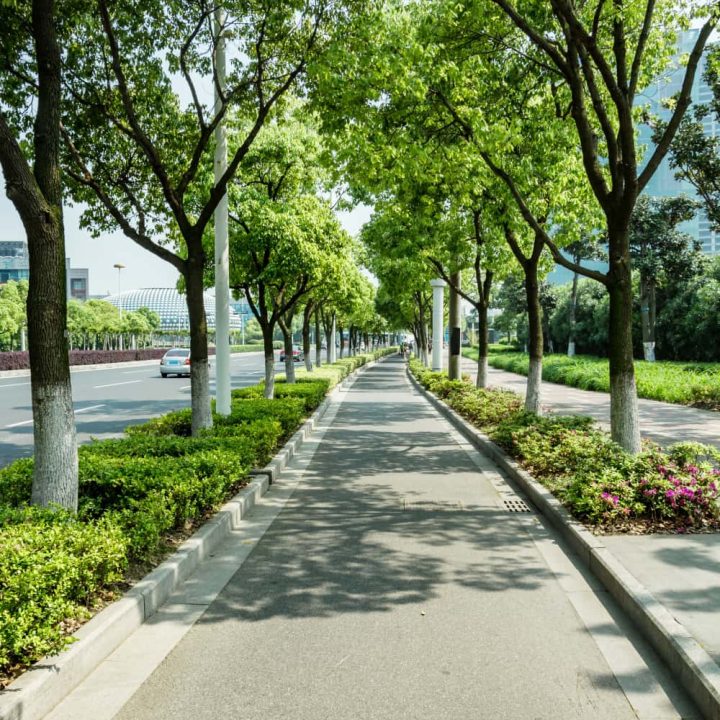 Paisajismo sostenible